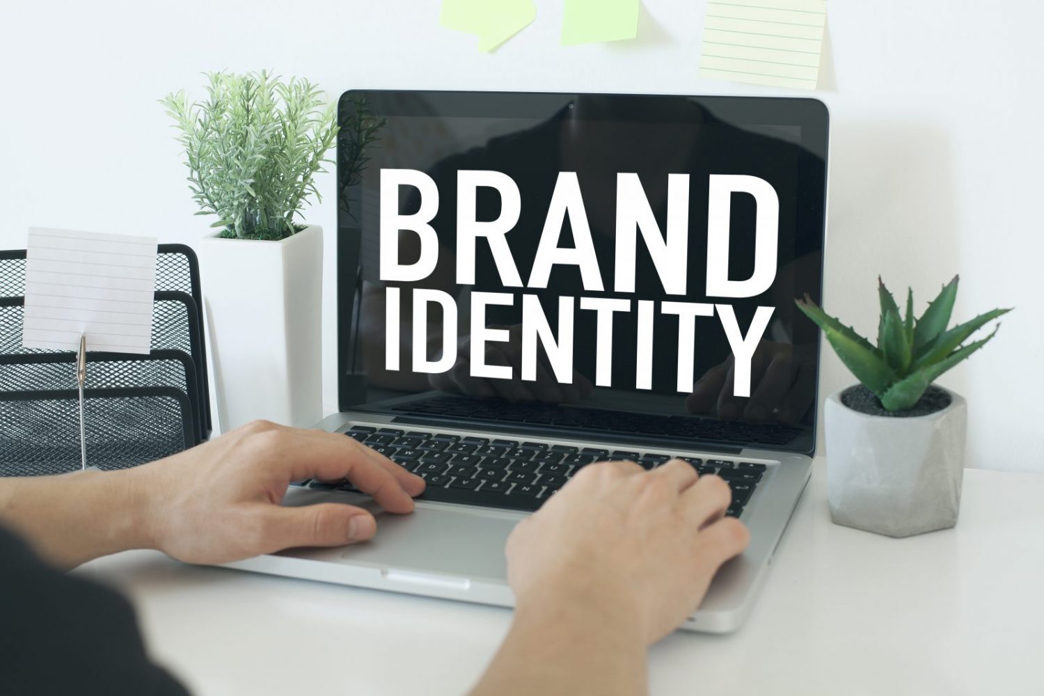 Your brand. Desire brand. 10 Things you should know before hiring a web developer. Desire is brand New to the Business..